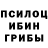 Галлюциногенные грибы Psilocybine cubensis Hannah Rousseau