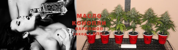 индика Шали