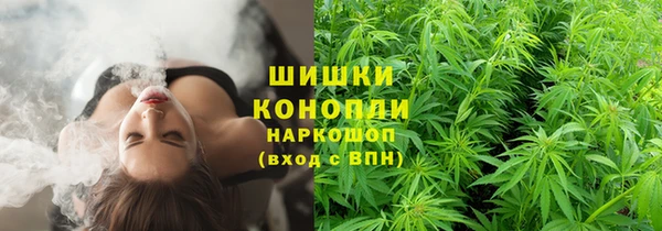 индика Шали