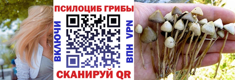 Псилоцибиновые грибы ЛСД  маркетплейс официальный сайт  Заозёрск  blacksprut tor 